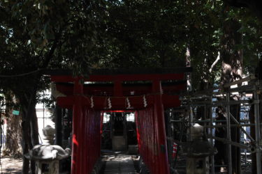 神社を怖いと感じた時はこうするべき 6つの対処法を紹介