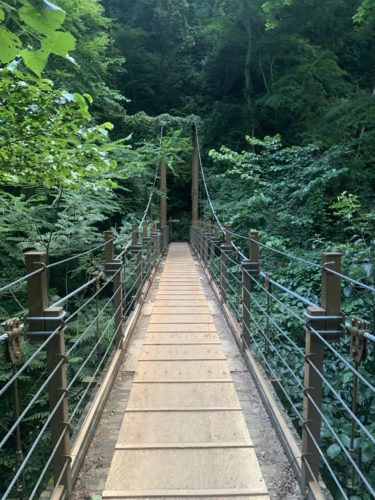 高尾山 四号路は危険？スニーカーでもいける？実際に登って解説いたします。