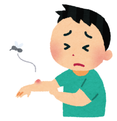 神社で蚊に刺された時に発信されている4つのスピリチュアルメッセージ
