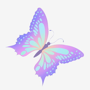 神社で蝶を見かけた時の5つのスピリチュアルメッセージについて