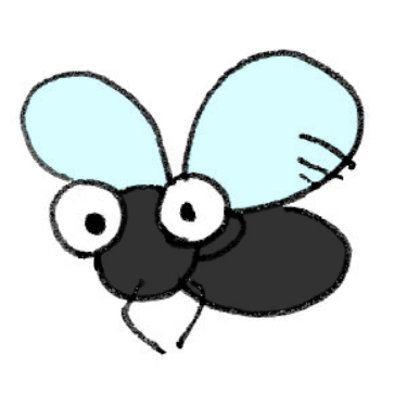 神社のハエが発信する4つのスピリチュアルメッセージ