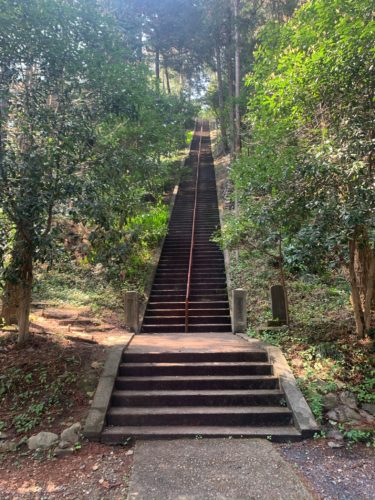 雨武主神社 あきる野市に位置する長い階段と厄祓い効果が目玉の神社