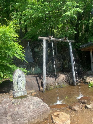清水寺 蝋梅と滝のパワースポット　